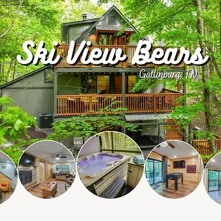 Ski View Bears - Gatlinburg! Serene Cabin With Views, Hottub, Gameroom